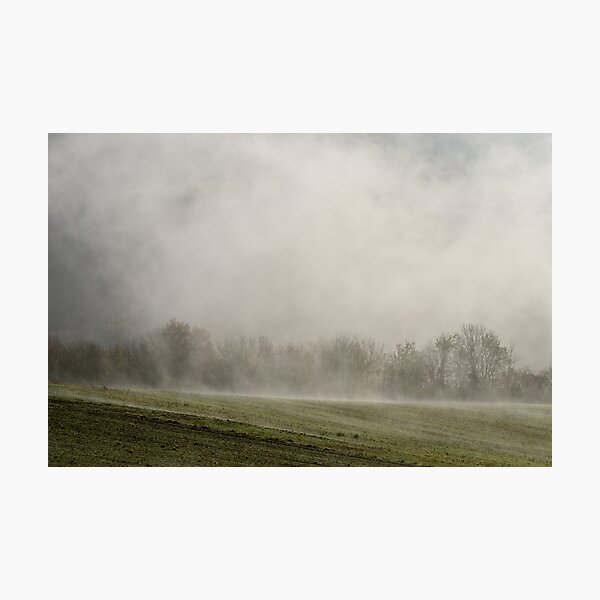 Photographic Print