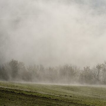 Artwork thumbnail, When the landscape reappears by Patrick Morand