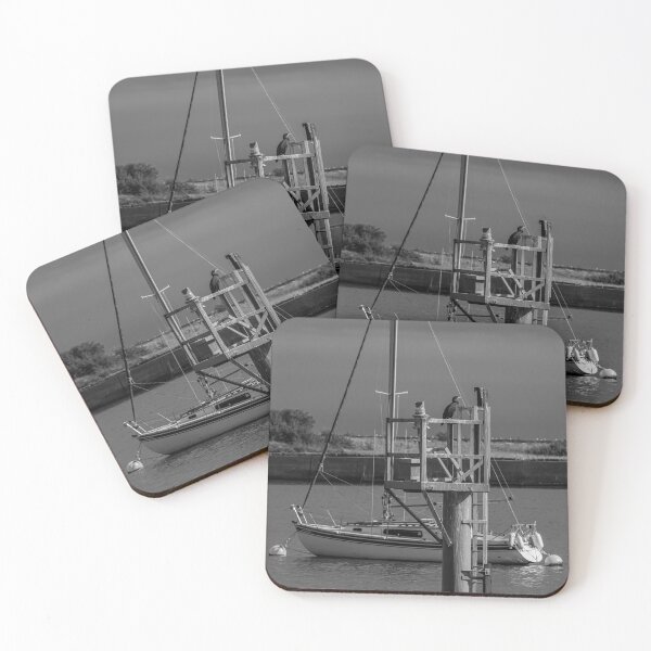 Item preview, Cormorant On Watch designed and sold by axp7884.