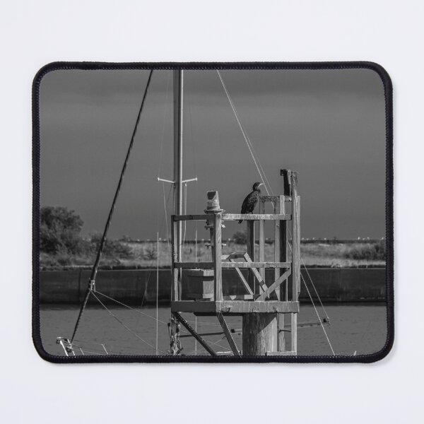 Item preview, Cormorant On Watch designed and sold by axp7884.