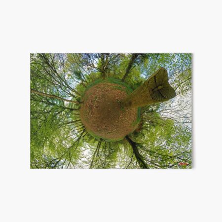 Butterfly Sculpture in Prehen Woods, Derry Art Board Print