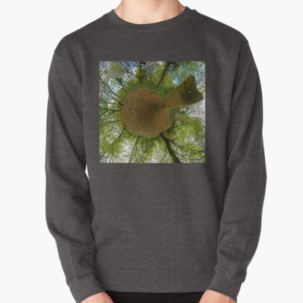Butterfly Sculpture in Prehen Woods, Derry Pullover Sweatshirt