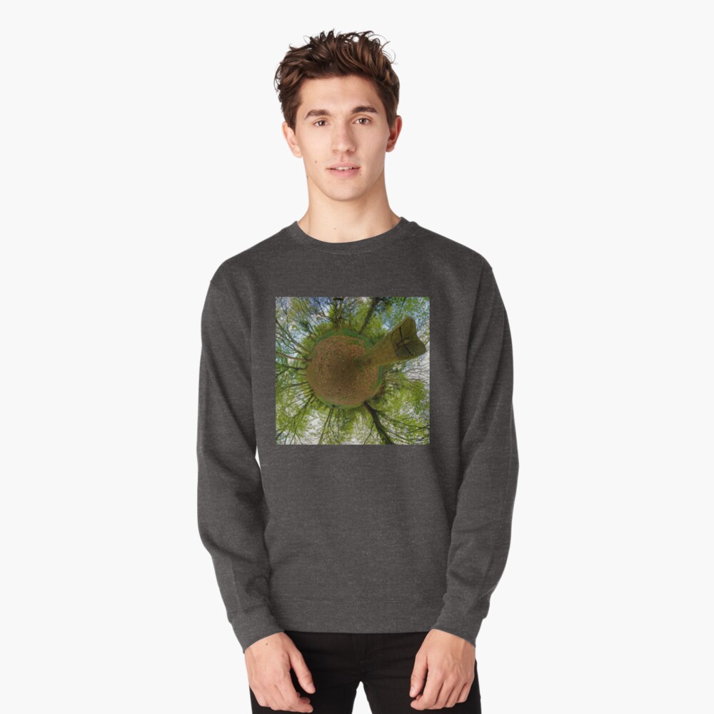 Butterfly Sculpture in Prehen Woods, Derry Pullover Sweatshirt