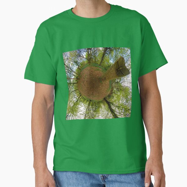 Butterfly Sculpture in Prehen Woods, Derry Classic T-Shirt