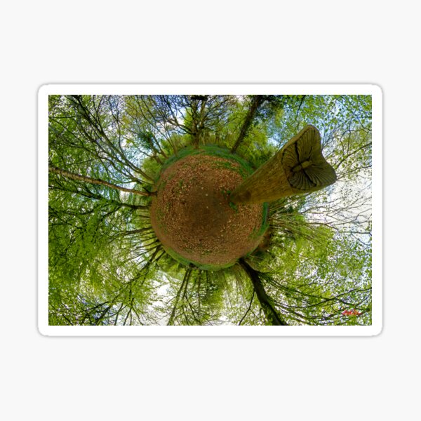 Butterfly Sculpture in Prehen Woods, Derry Sticker