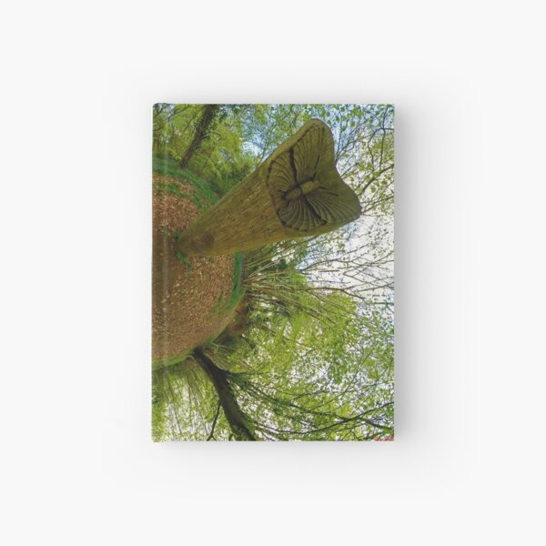 Butterfly Sculpture in Prehen Woods, Derry Hardcover Journal