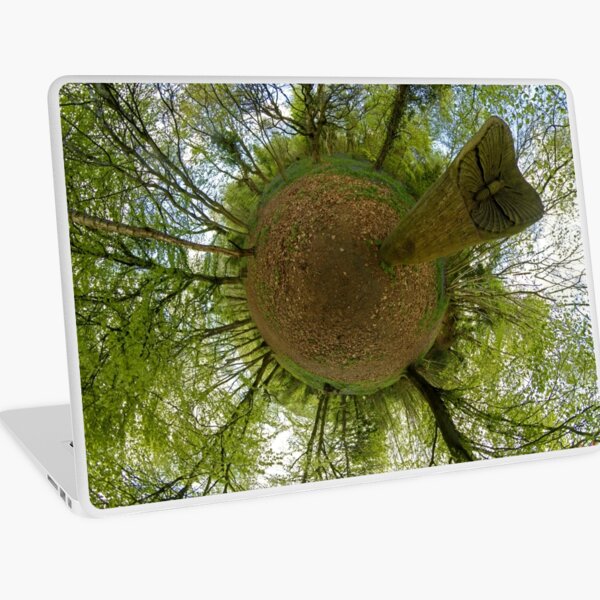 Butterfly Sculpture in Prehen Woods, Derry Laptop Skin