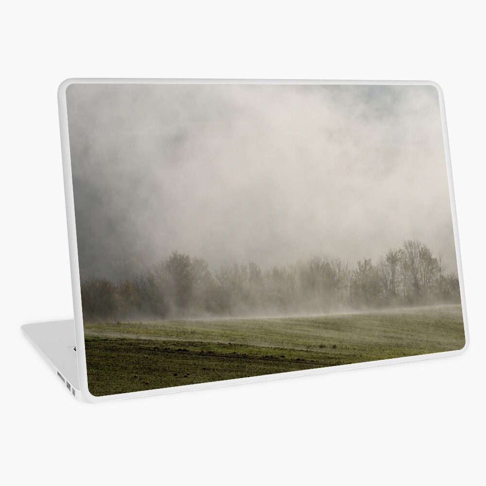 Item preview, Laptop Skin designed and sold by patmo.