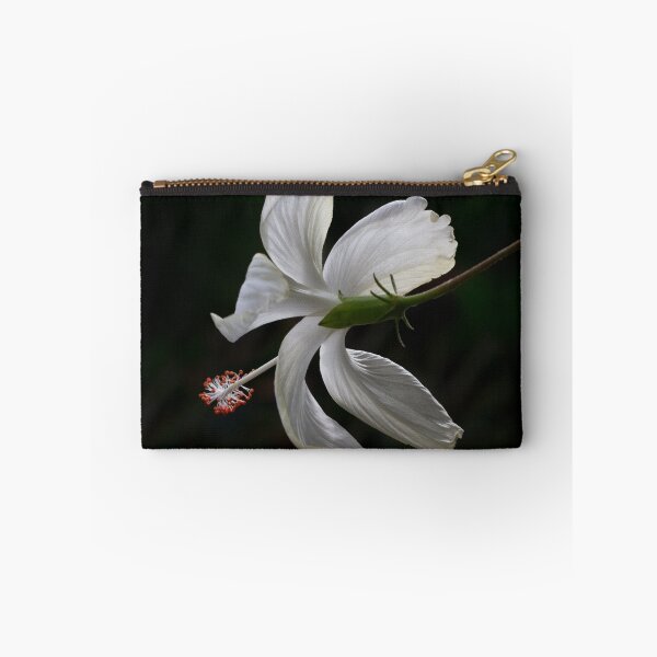 Item preview, White Hibiscus designed and sold by alan tunnicliffe.