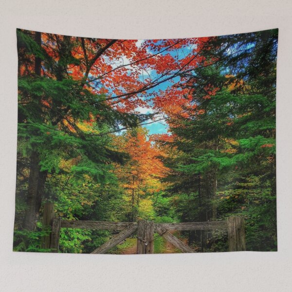Item preview, Autumn, Lutsen Minnesota designed and sold by Maddie4Real.