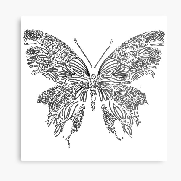 "Black and White Drawing of Butterfly" Metal Print for Sale by JEFFSTAN Redbubble