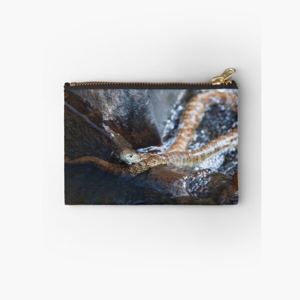 Item preview, Tiger Snake - Notechis scutatus designed and sold by Travis Easton.