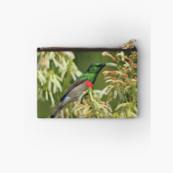 Item preview,  Lesser Double-collared Sunbird designed and sold by croust.