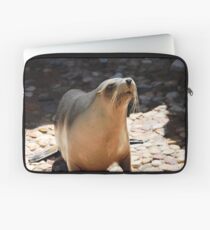 Sealion Laptop Sleeve