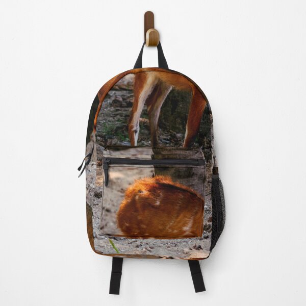 Item preview, deer photo with high resolution quality designed and sold by Allyouneed-2.