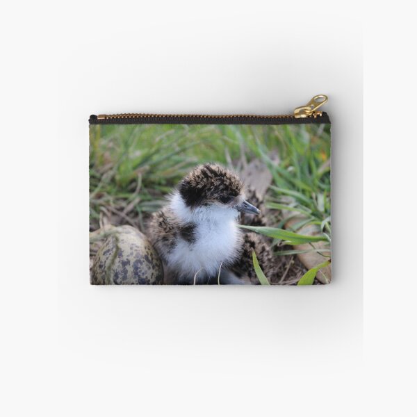 Item preview, Masked Lapwing Chick designed and sold by leesdanielt.