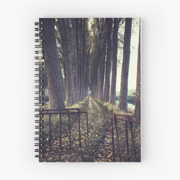 Item preview, The way ahead designed and sold by DCarlier.