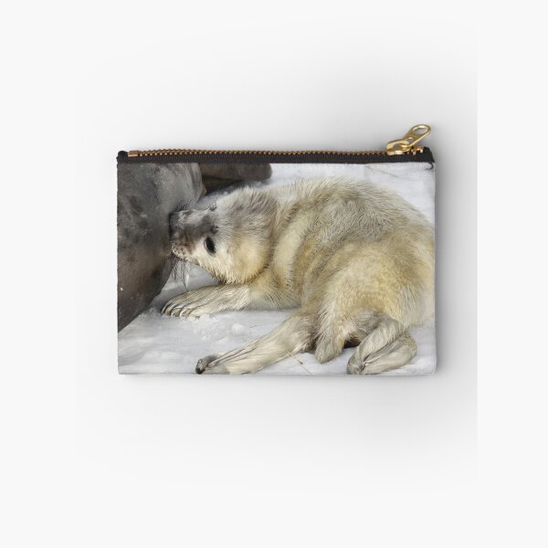 Item preview, Grey Seal Pup Suckling designed and sold by CharlotteMorse.