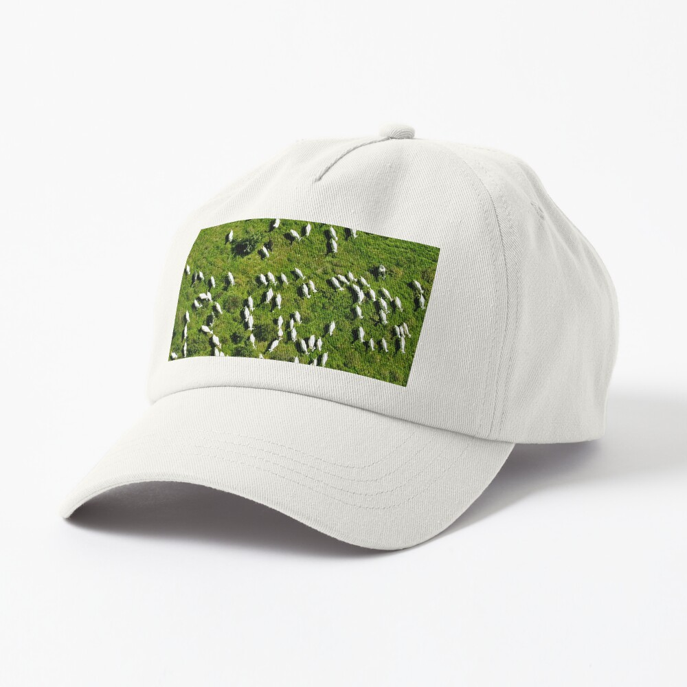 Item preview, Dad Hat designed and sold by DRONY.