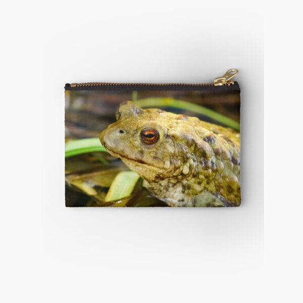 Artikelvorschau, Toad entworfen und verkauft von Roger Hall.