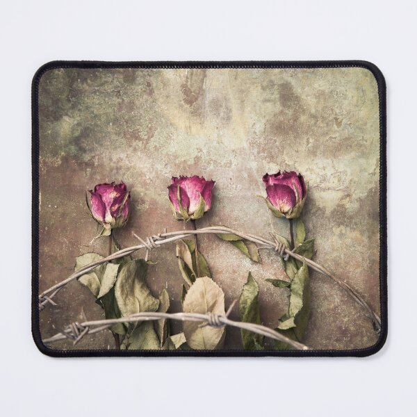 Item preview, three dried roses and barbed wire designed and sold by Maria Heyens.
