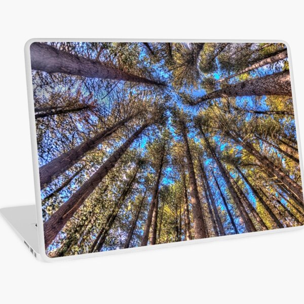 Item preview, Reach For The Sky - Sugar Pine Walk Laurel Hill NSW - The HDR Experience designed and sold by Salieri1627.