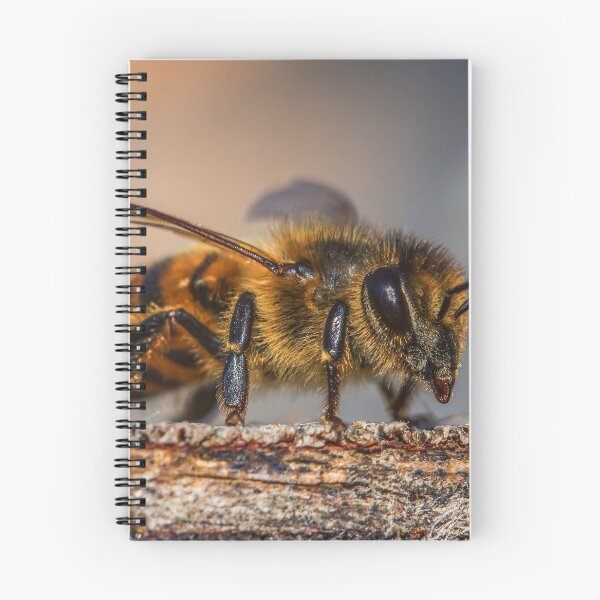 Item preview, bee photo with high resolution quality designed and sold by Allyouneed-2.