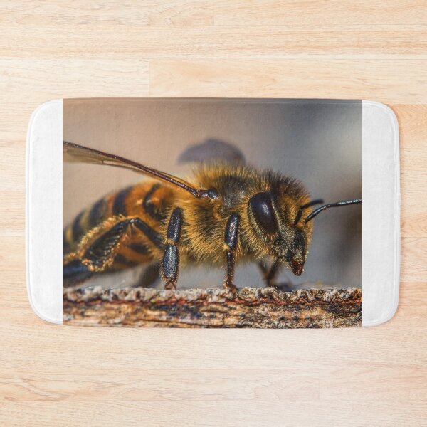 Item preview, bee photo with high resolution quality designed and sold by Allyouneed-2.