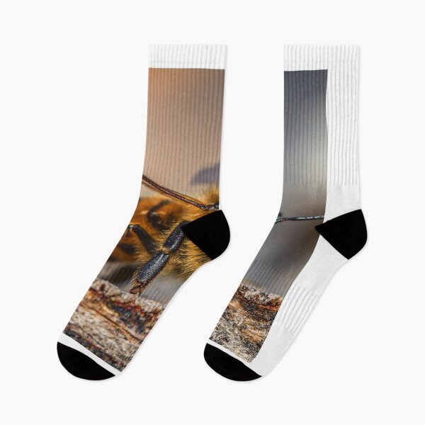 Item preview, bee photo with high resolution quality designed and sold by Allyouneed-2.