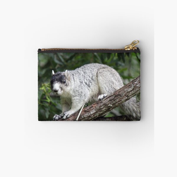 Item preview, Squirrel designed and sold by reendan.