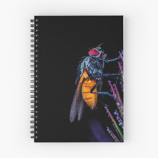 Item preview, bee photo with high resolution quality designed and sold by Allyouneed-2.