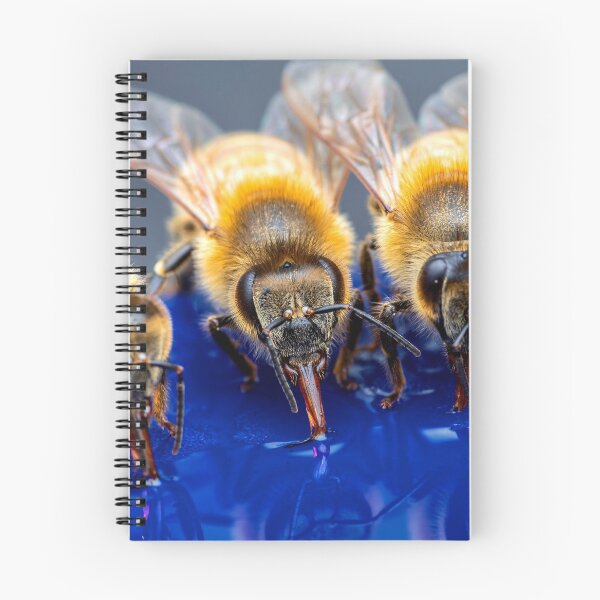 Item preview, bee photo with high resolution quality designed and sold by Allyouneed-2.