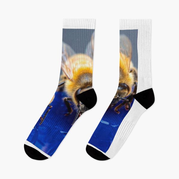 Item preview, bee photo with high resolution quality designed and sold by Allyouneed-2.