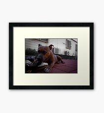 Nike Air Pilbara (Part I) Framed Print
