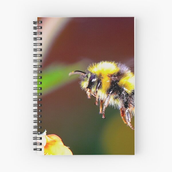 Item preview, bee photo with high resolution quality designed and sold by Allyouneed-2.