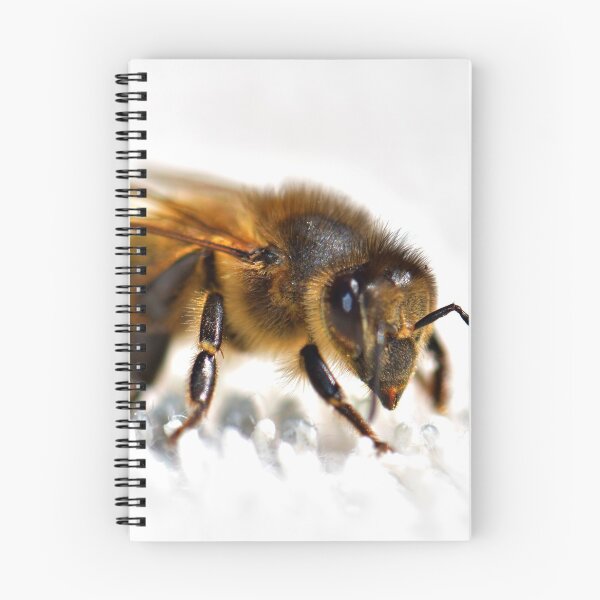 Item preview, bee photo with high resolution quality designed and sold by Allyouneed-2.