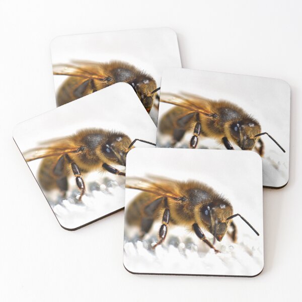 Artikelvorschau, Bienenfoto in hochauflösender Qualität entworfen und verkauft von Allyouneed-2.