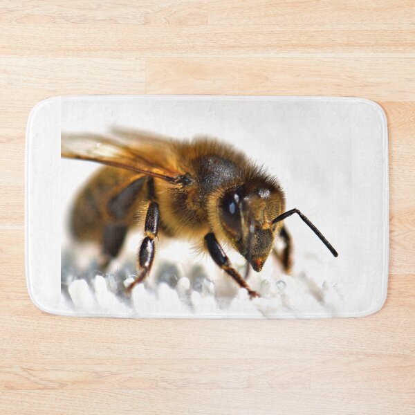 Item preview, bee photo with high resolution quality designed and sold by Allyouneed-2.