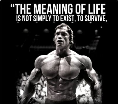 arnold schwarzenegger conquer quote