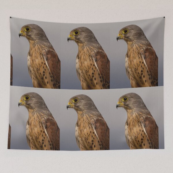 Item preview, Portrait of a Kestrel designed and sold by FXST.