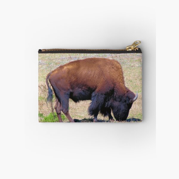 Item preview, Florida Bison designed and sold by Bob Hardy.