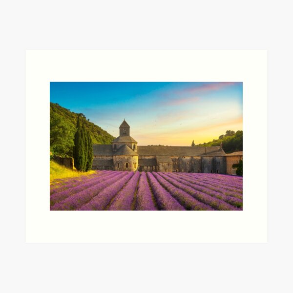 Abbey of Senanque and lavender flowers at sunset. Gordes, France Art Print