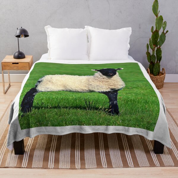 Item preview, sheep photo with high resolution quality designed and sold by Allyouneed-2.
