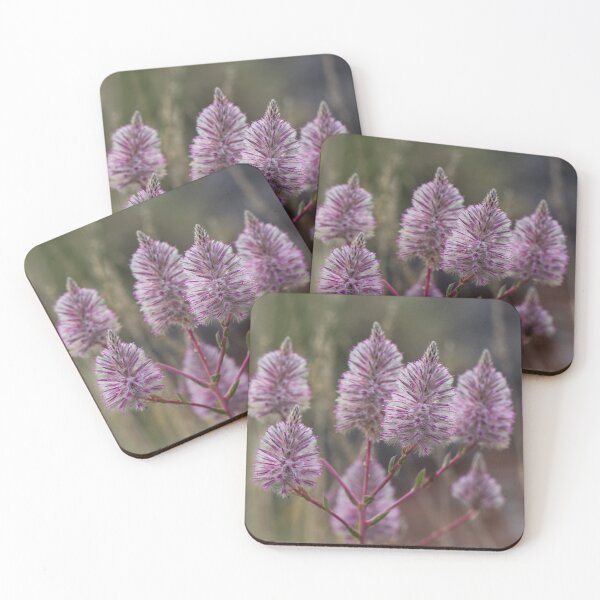 Item preview, Mulla Mulla - Western Australian wildflower designed and sold by Life Images by Jill .