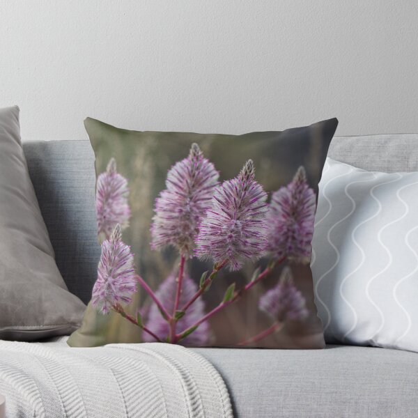 Item preview, Mulla Mulla - Western Australian wildflower designed and sold by Life Images by Jill .