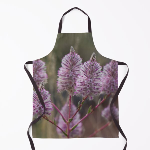 Item preview, Mulla Mulla - Western Australian wildflower designed and sold by Life Images by Jill .