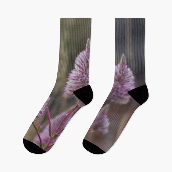 Item preview, Mulla Mulla - Western Australian wildflower designed and sold by Life Images by Jill .