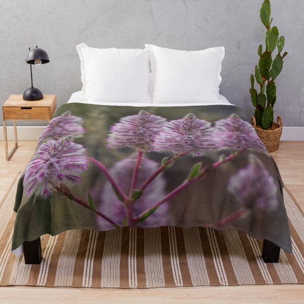 Item preview, Mulla Mulla - Western Australian wildflower designed and sold by Life Images by Jill .