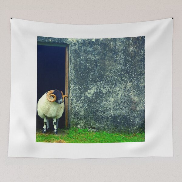 Item preview, Sheep designed and sold by Allyouneed-2.