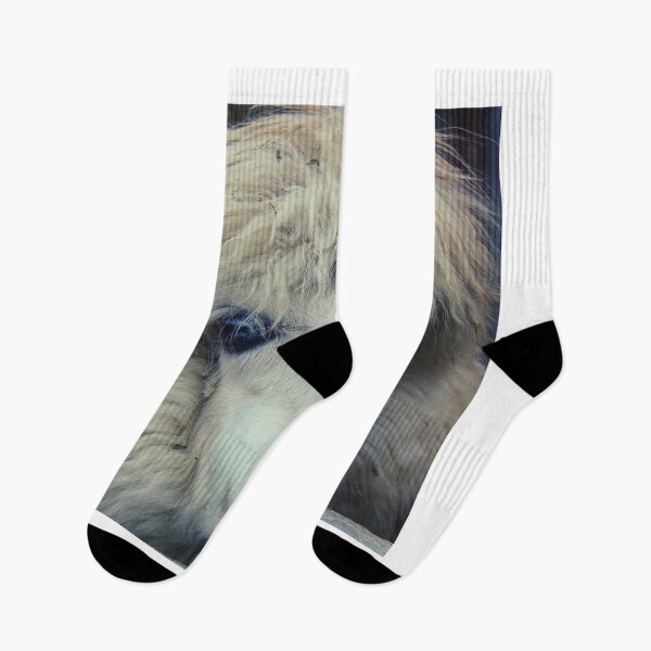 Item preview, sheep photo with high resolution quality designed and sold by Allyouneed-2.
